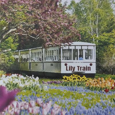 はんなりラジオ#33