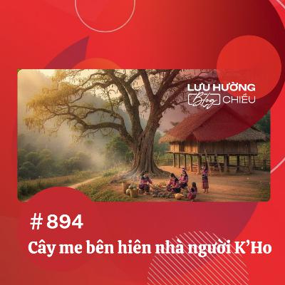 Cây me bên hiên nhà người K’Ho | Lưu Hường blog chiều | Đài Hà Nội