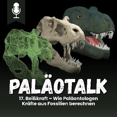17. Beißkraft – Wie Paläontologen Kräfte aus Fossilien berechnen 17. Beißkraft – Wie Paläontologen Kräfte aus Fossilien berechnen