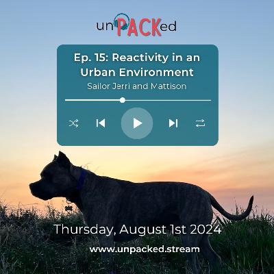 Ep 15: Reactivity in an Urban Environment
