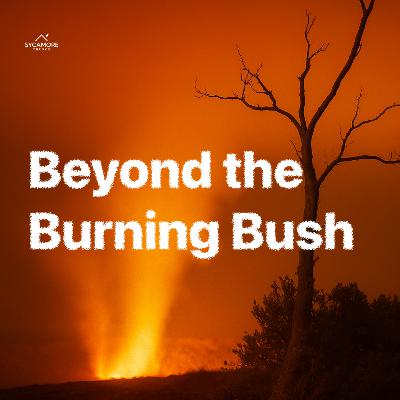 Beyond The Burning Bush | Sundays At Sycamore | Pastor Tolulope Moody