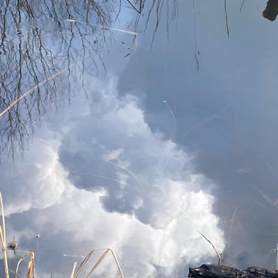Vlaamse versie van Ho’oponopono origineel gebed