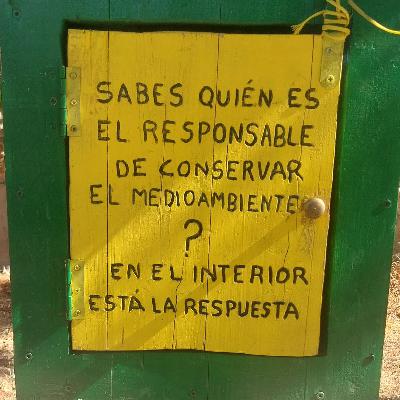 Escribano Palustre - Ciencia - 20/10/25