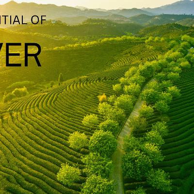 The Potential Of Never