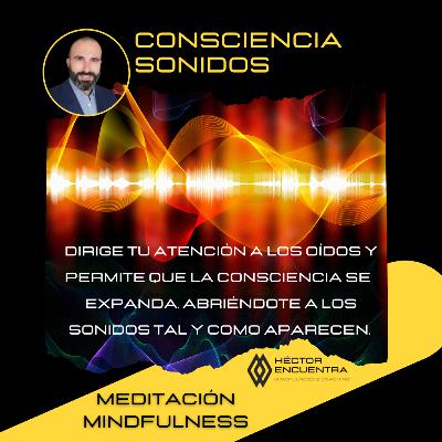 Meditación Consciencia de los Sonidos Meditación Consciencia de los Sonidos