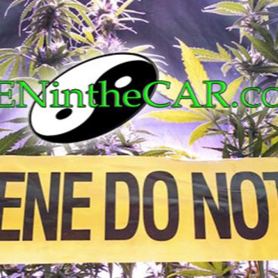 Homeschool Hero Stands up to the State over Cannabis Criminalization: The Kelly Elizabeth Story