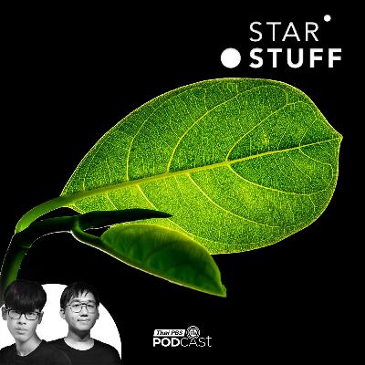 Starstuff เรื่องเล่าจากดวงดาว EP. 232: ทำไมโลกของเราถึงเต็มไปด้วย “สีเขียว” กันแน่ Starstuff เรื่องเล่าจากดวงดาว EP. 232: ทำไมโลกของเราถึงเต็มไปด้วย “สีเขียว” กันแน่