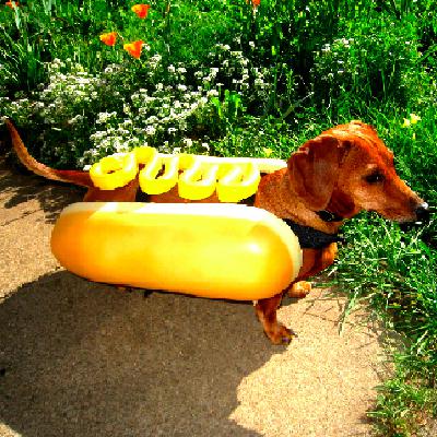 Blue Self-Existing Monkey Blue Self-Existing Monkey