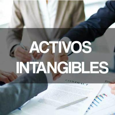 Activos intangibles Activos intangibles