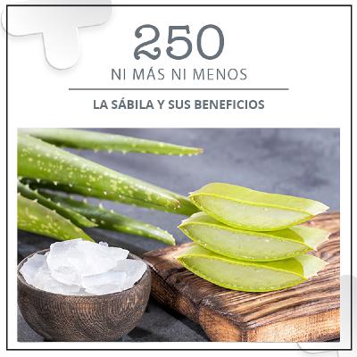 250: La sábila y sus beneficios