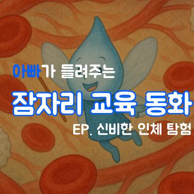 인체의 신비 - 교육동화 수면동화