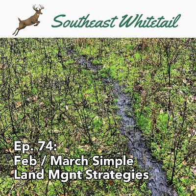 Ep. 74: Feb / March Simple Land Mgnt Strategies