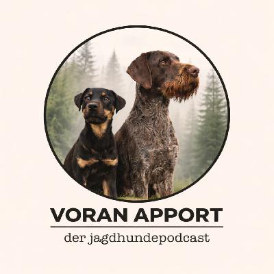 #59 Lerntheorie - Operante Konditionierung 2/4 🫸Negative Verstärkung #59 Lerntheorie - Operante Konditionierung 2/4 🫸Negative Verstärkung