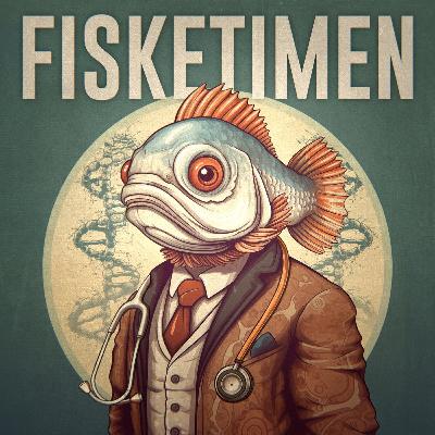 Rammeverk - praktverk eller makkverk?