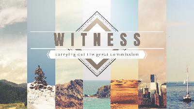 What Does a Witness Say? What Does a Witness Say?