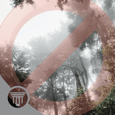 Sunday Morning - The Land Which Ye Have Despised Sunday Morning - The Land Which Ye Have Despised