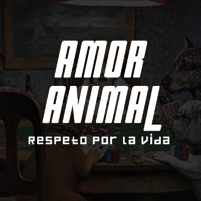 Una aproximación al mundo de las mascotas y el respeto animal con Santiago Rendón