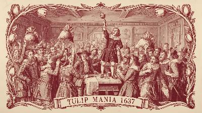 Podcast - The Tulip Mania of 1637