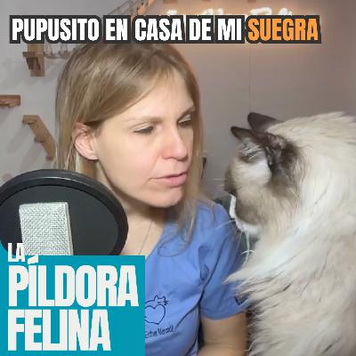 580. PUPUSITO en casa de mi SUEGRA