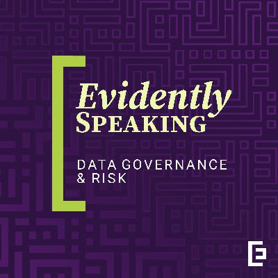 Data Governance and Risk