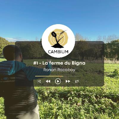 #1 - L'agroforesterie : un levier d'autonomie pour la ferme et son territoire, avec Ronan Rocaboy