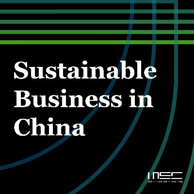 Battery Geopolitics The Hard Fight for Global Markets is ESG