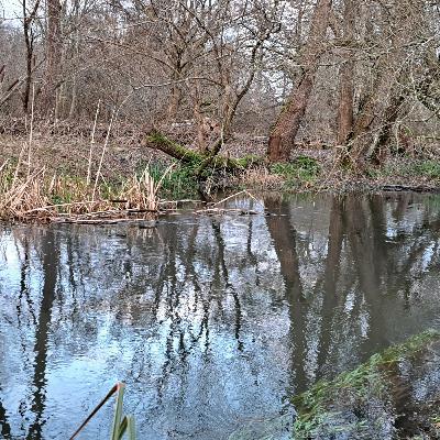 Rousebarn 2 007 / Carp Fishing / E183