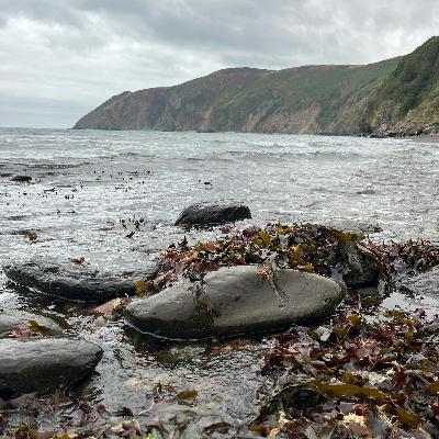 Sound Escape 241. Take a breather overlooking Exmoor's stunning coastline