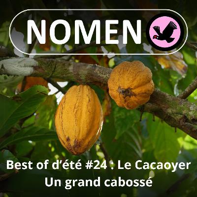 BEST OF D'ÉTÉ #24 : Le Cacaoyer bonnes gens !