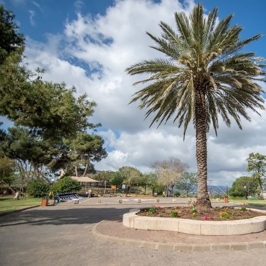 תכנית 172 להקות ושירים  של  פעם  אחת