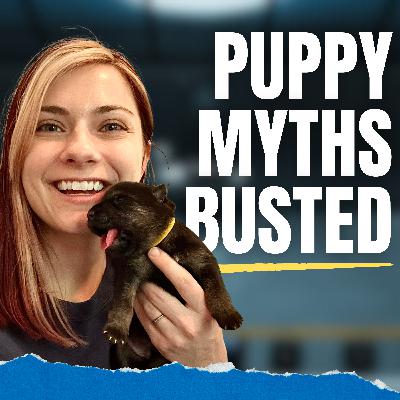 Ep. 31 - Puppy Myths Busted with Maureen Cucinella