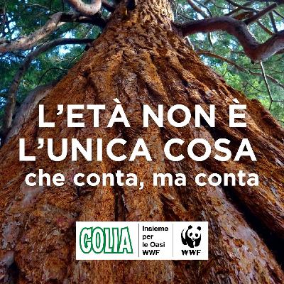 L'età non è l'unica cosa che conta, ma conta