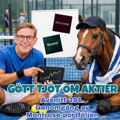 281. Genomgång av Montrose-portföljen
