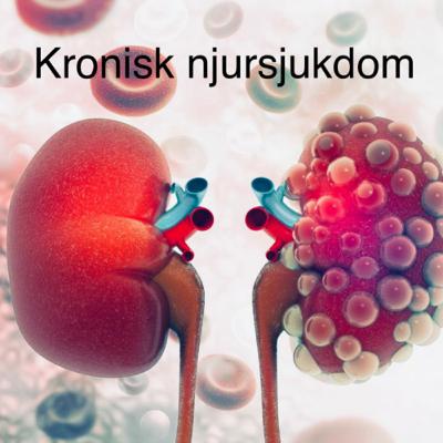 Kronisk njursjukdom