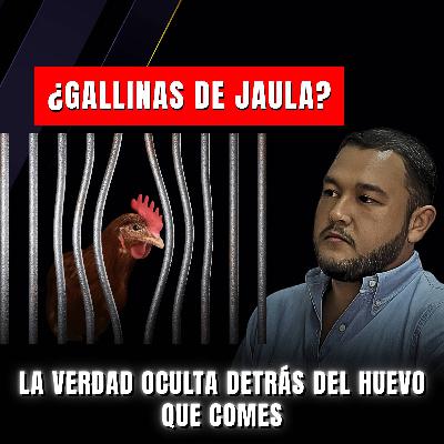 #043. MVZ Alfredo Mercado - ¿Quién produce el huevo en México? Lo que no sabes del gremio avícola