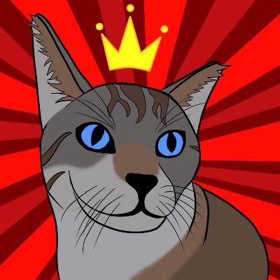 Tom: o rei delas Tom: o rei delas