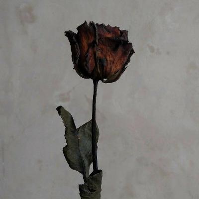 Utang Podcast dibayar lunas
