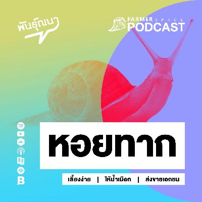 หอยทาก 【พันธุ์ณนา】 หอยทาก 【พันธุ์ณนา】