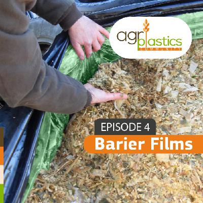 Barrier Films