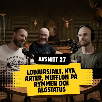 Avsnitt 27 Säsong 7