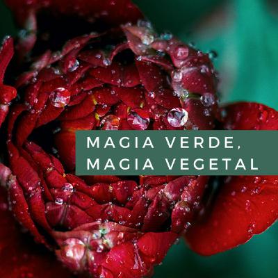 Magia Verde, Magia Vegetal Cap. 5 La pócima Universal