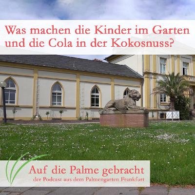 Was machen die Kinder im Garten und die Cola in der Kokosnuss?
