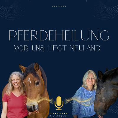 Medical Training für Pferde | Nina Steigerwald und Silvia