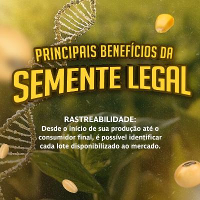 MOMENTO APASEM #110: Semente Legal tem Rastreabilidade de Ponta a Ponta