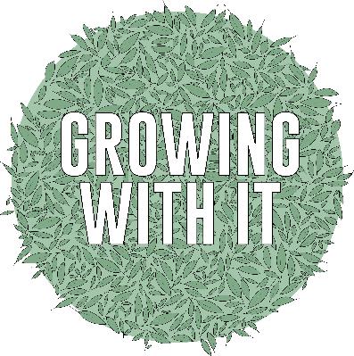 10 - Propagation 10 - Propagation