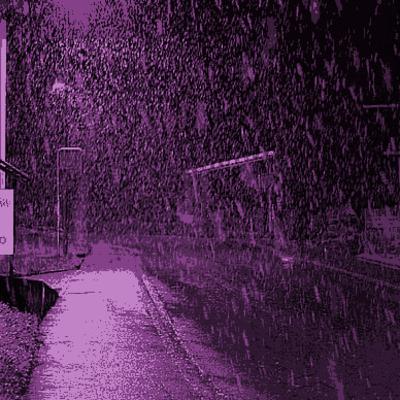 La última flor cayó despavorida