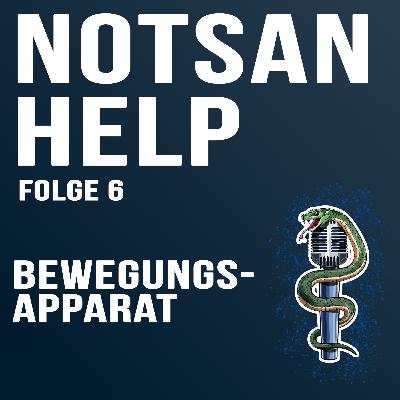 Bewegungsapparat | NOTSAN-HELP - 06