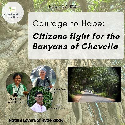 Citizens unite to save the Banyans of Chevella | Nature Lovers of Hyderabad Citizens unite to save the Banyans of Chevella | Nature Lovers of Hyderabad