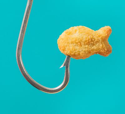 Fish sticks: The ocean's little problem solvers Fish sticks: The ocean's little problem solvers