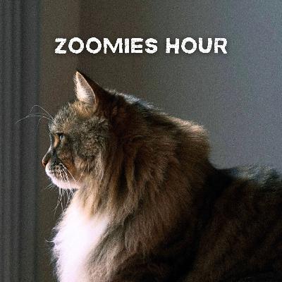 #034 猫と冬支度 #034 猫と冬支度